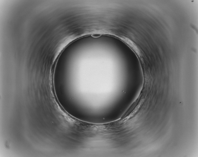 X0000098031006200804071412