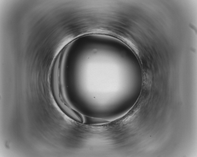 X0000098031007200804071412