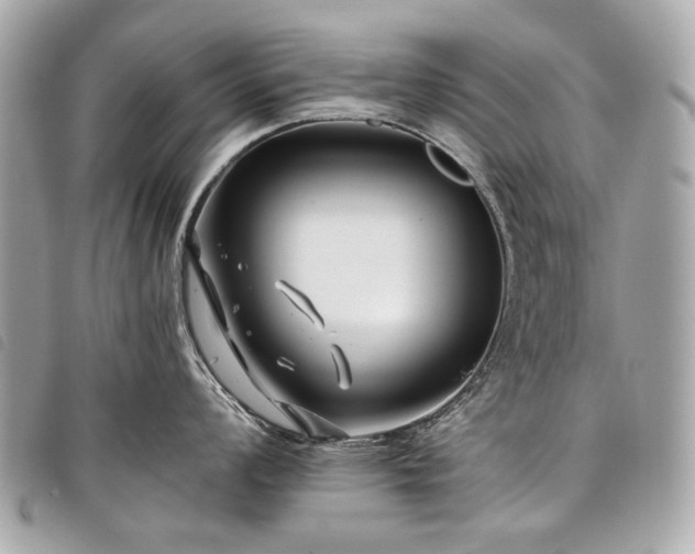 X0000098031008200804071412