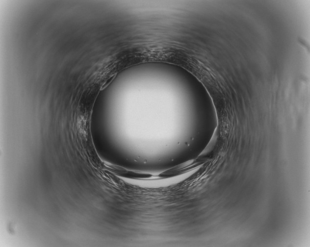 X0000098031010200804071412