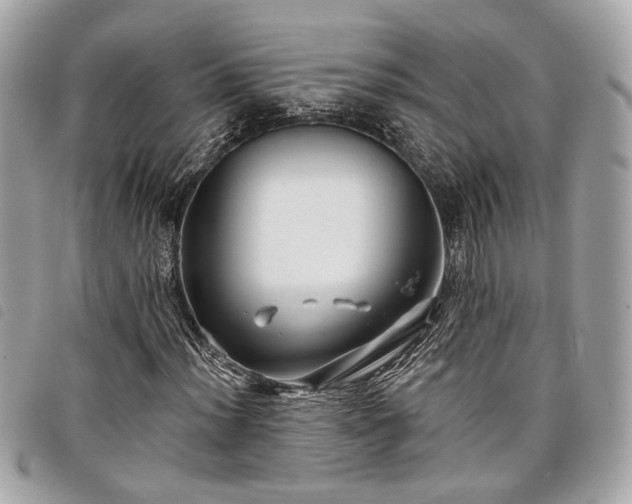 X0000098031012200804071412