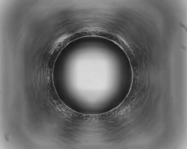 X0000098031016200804071412