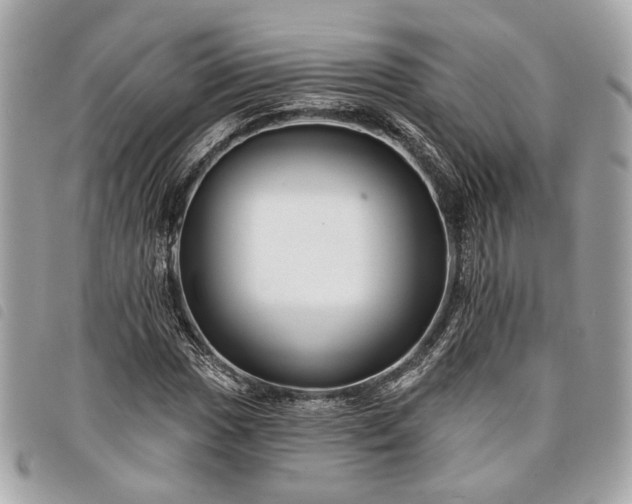 X0000098031017200804071412