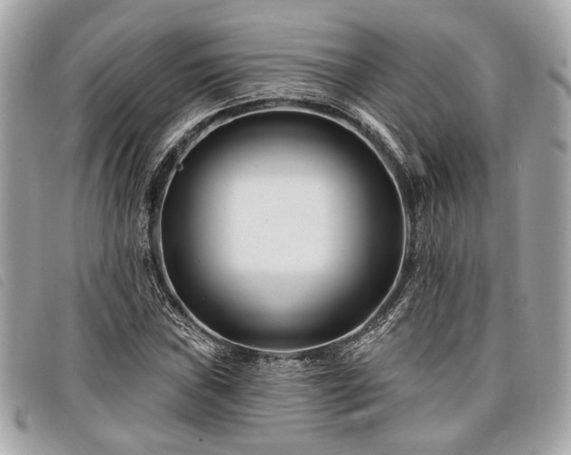 X0000098031019200804071412