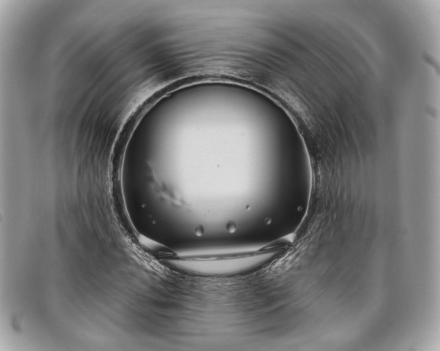 X0000098031020200804071412