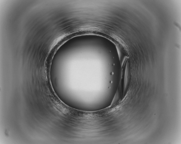 X0000098031022200804071412