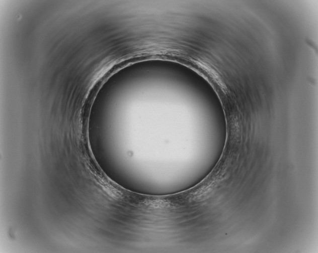 X0000098031023200804071412