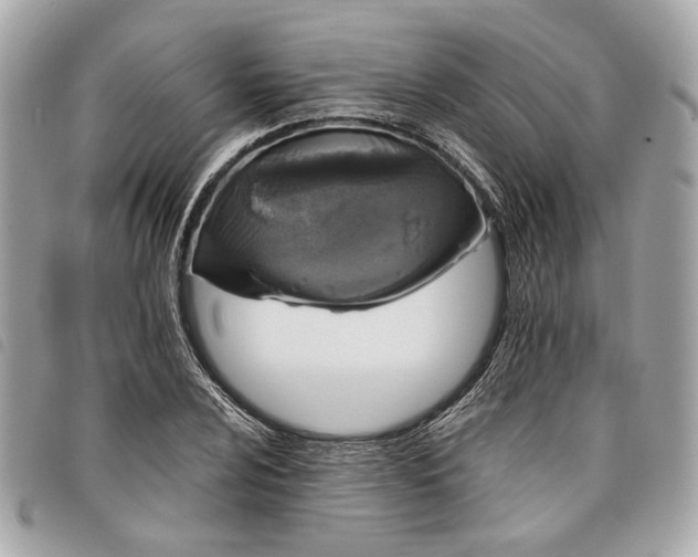 X0000098031024200804071412