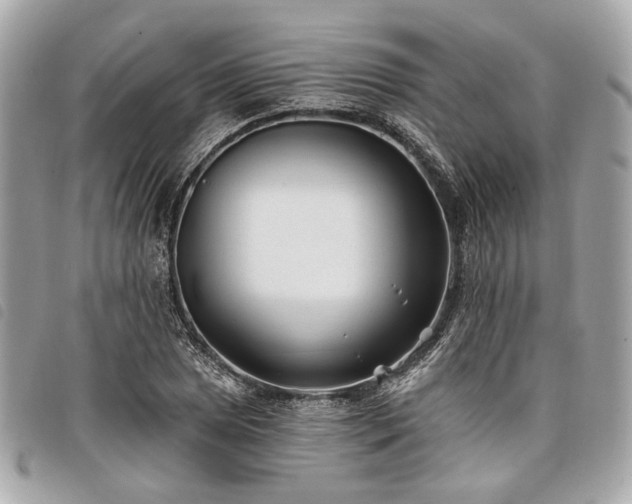 X0000098031025200804071412