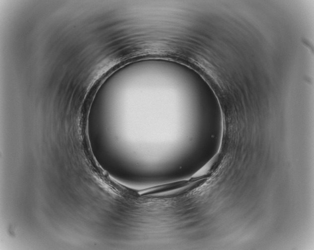 X0000098031026200804071412