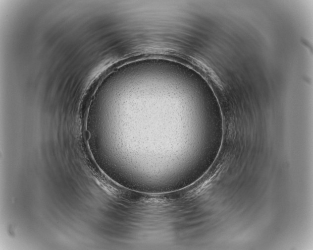 X0000098031027200804071412