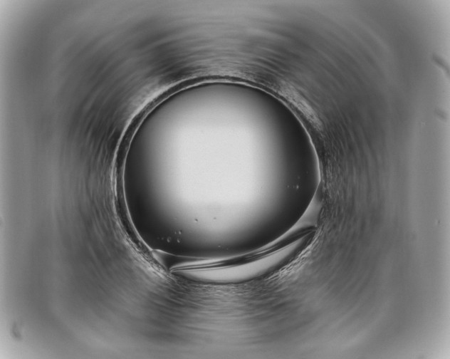 X0000098031028200804071412