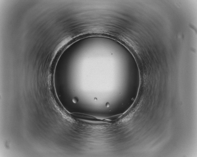 X0000098031029200804071412