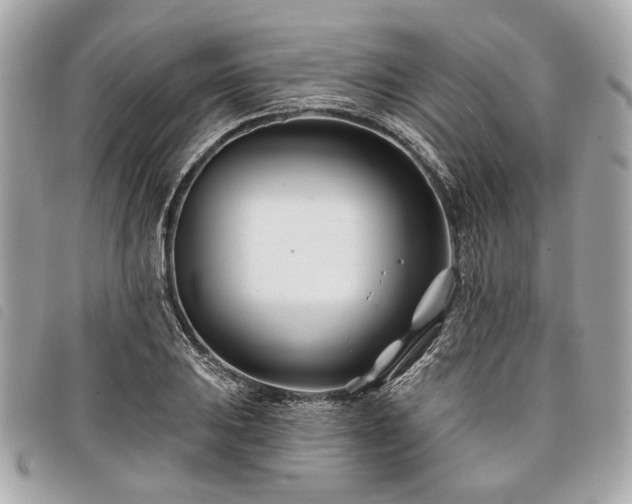 X0000098031031200804071412