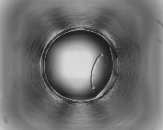 X0000098031032200804071412