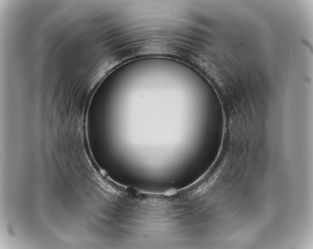 X0000098031033200804071412