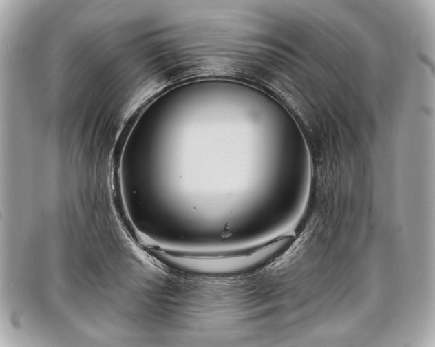 X0000098031034200804071412