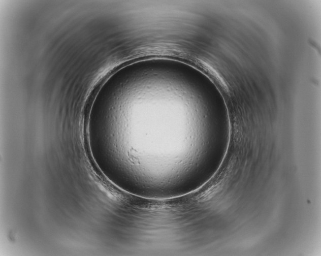 X0000098031035200804071412