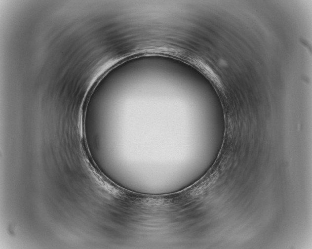 X0000098031036200804071412