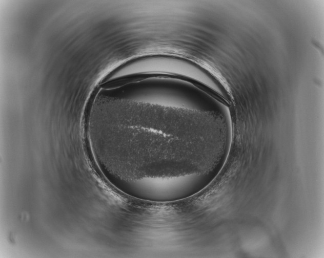 X0000098031037200804071412