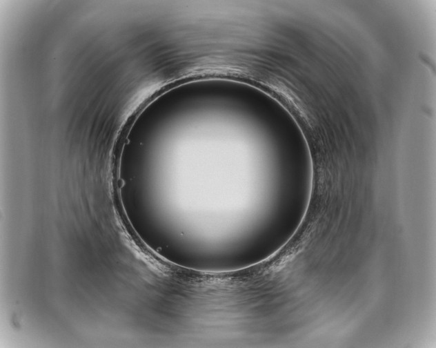 X0000098031038200804071412