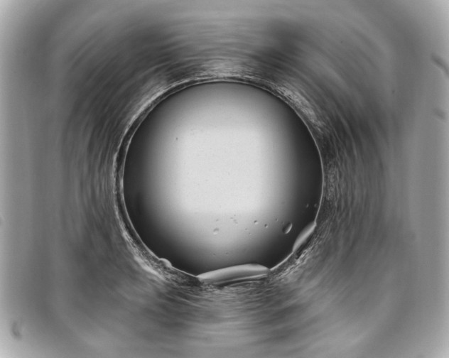 X0000098031039200804071412