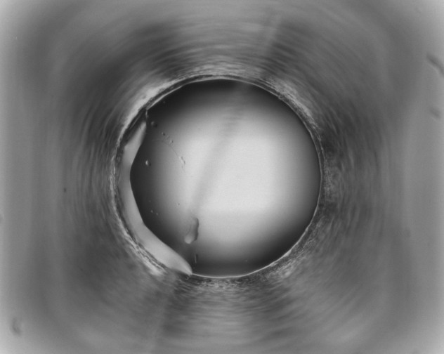 X0000098031040200804071412