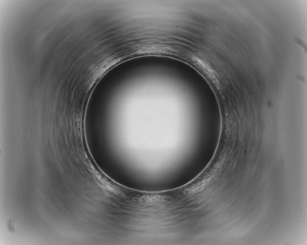 X0000098031041200804071412