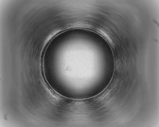 X0000098031043200804071412