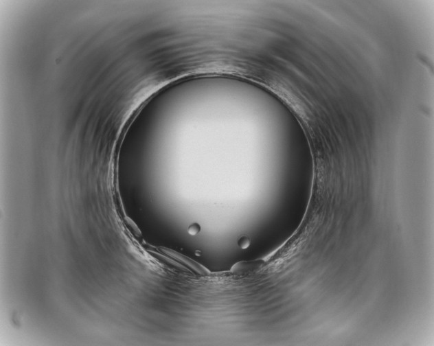 X0000098031044200804071412