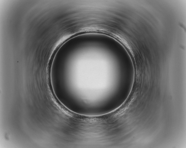 X0000098031045200804071412