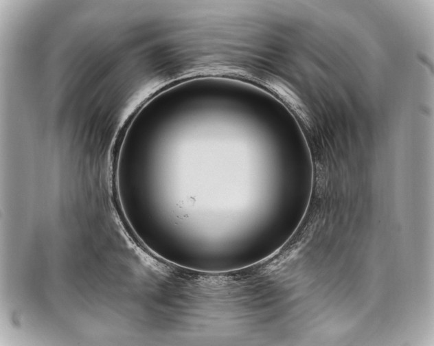 X0000098031046200804071412