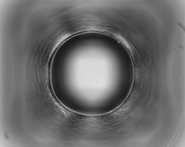 X0000098031048200804071412