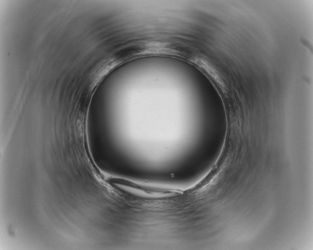 X0000098031049200804071412