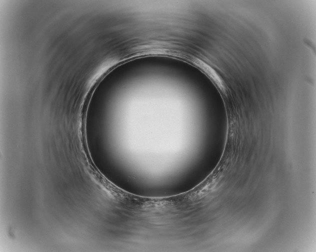 X0000098031051200804071412