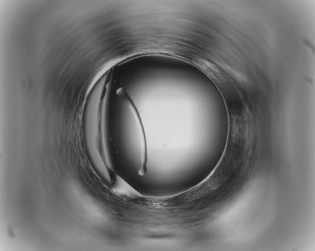 X0000098031052200804071412