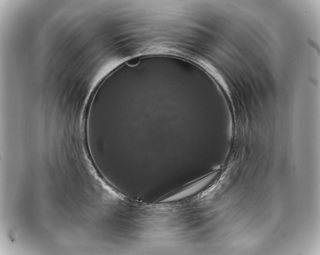 X0000098031053200804071412