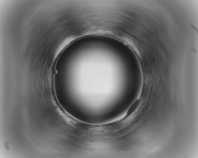 X0000098031054200804071412