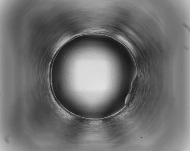 X0000098031055200804071412