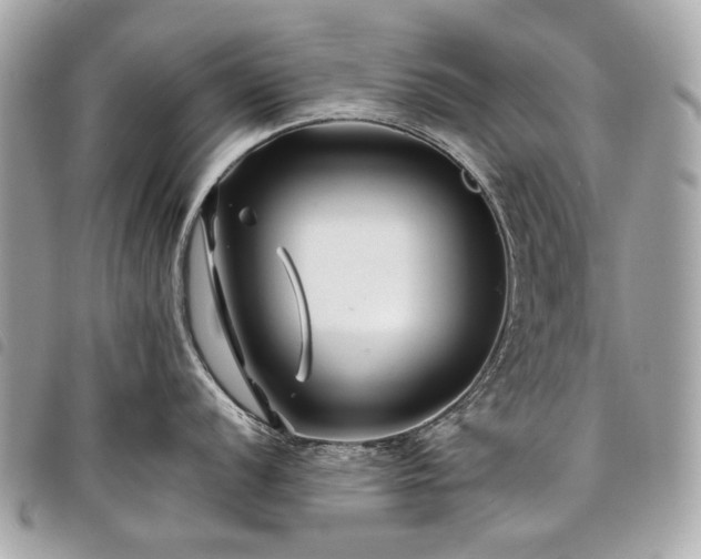 X0000098031056200804071412