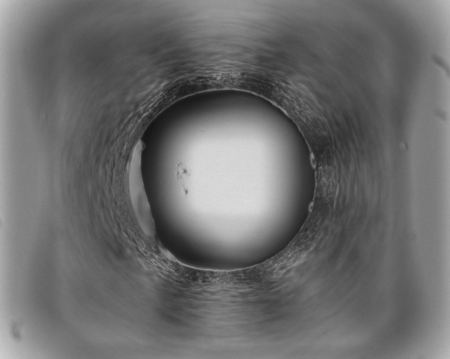 X0000098031057200804071411