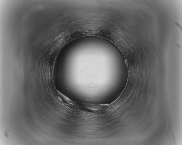 X0000098031058200804071411