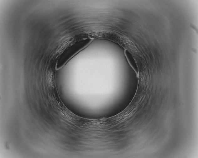 X0000098031060200804071411