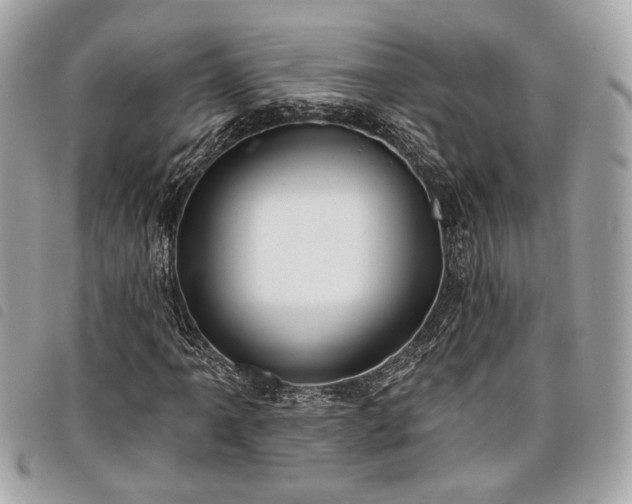 X0000098031061200804071411