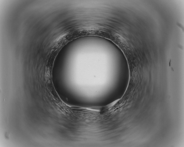 X0000098031062200804071411