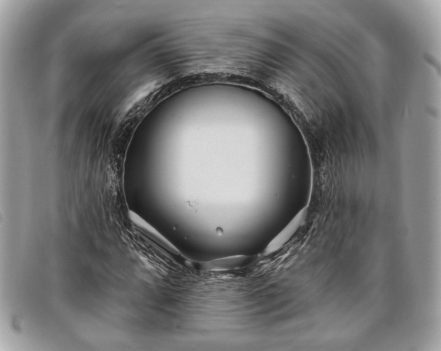 X0000098031064200804071411