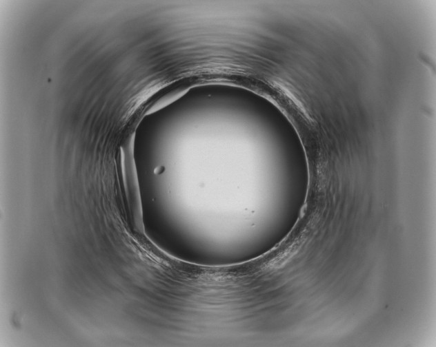 X0000098031065200804071411