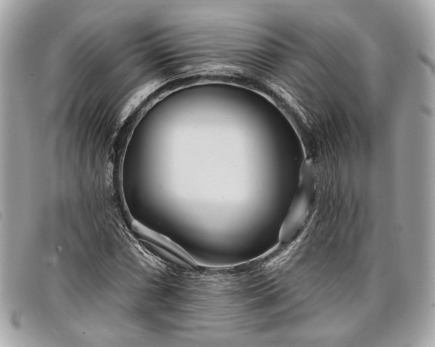 X0000098031066200804071411