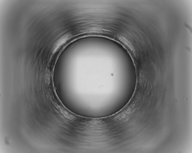 X0000098031067200804071411