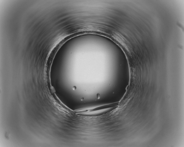 X0000098031068200804071411